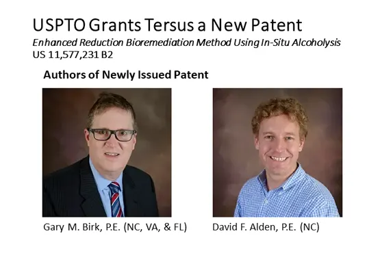 New Patent,  transesterification of vegetable oils
