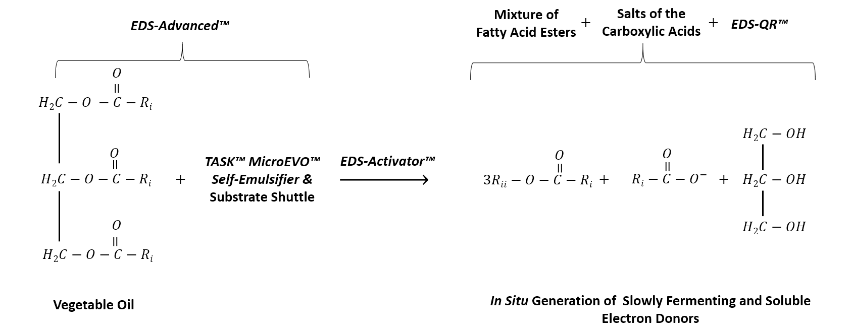 In Situ Alcoholysis