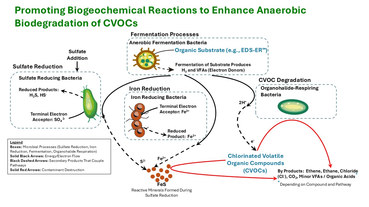 Biogeochemial Reactions