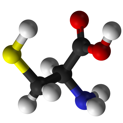 L-Cysteine Base (25 kg) L-Cysteine Base (25 kg)